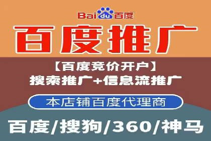 SEM公司案例研究：数据驱动营销策略